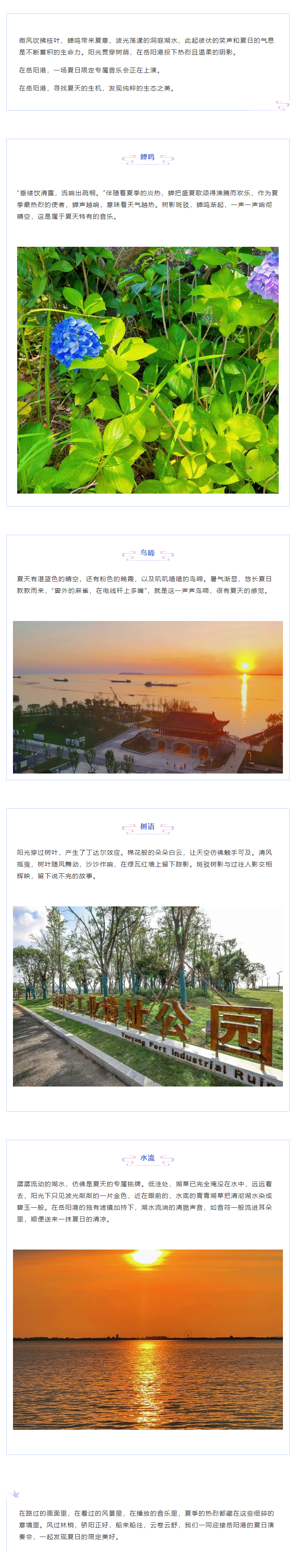 【夏日演奏會】在岳陽港，聆聽夏天的聲音.png